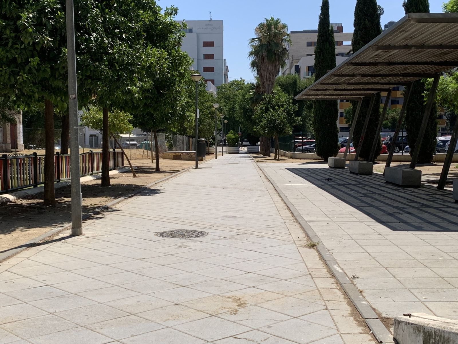 Zona ajardinada de la avenida de la Buhaira donde se produjo la agresión
