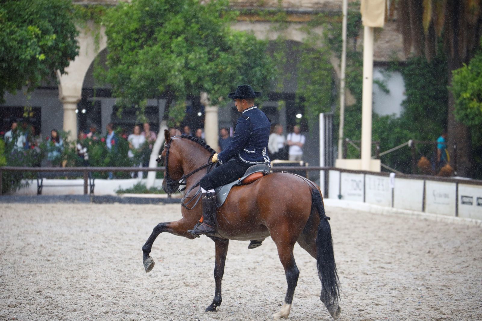 La celebración de la VI Copa de España de Alta Escuela en Córdoba, en imágenes