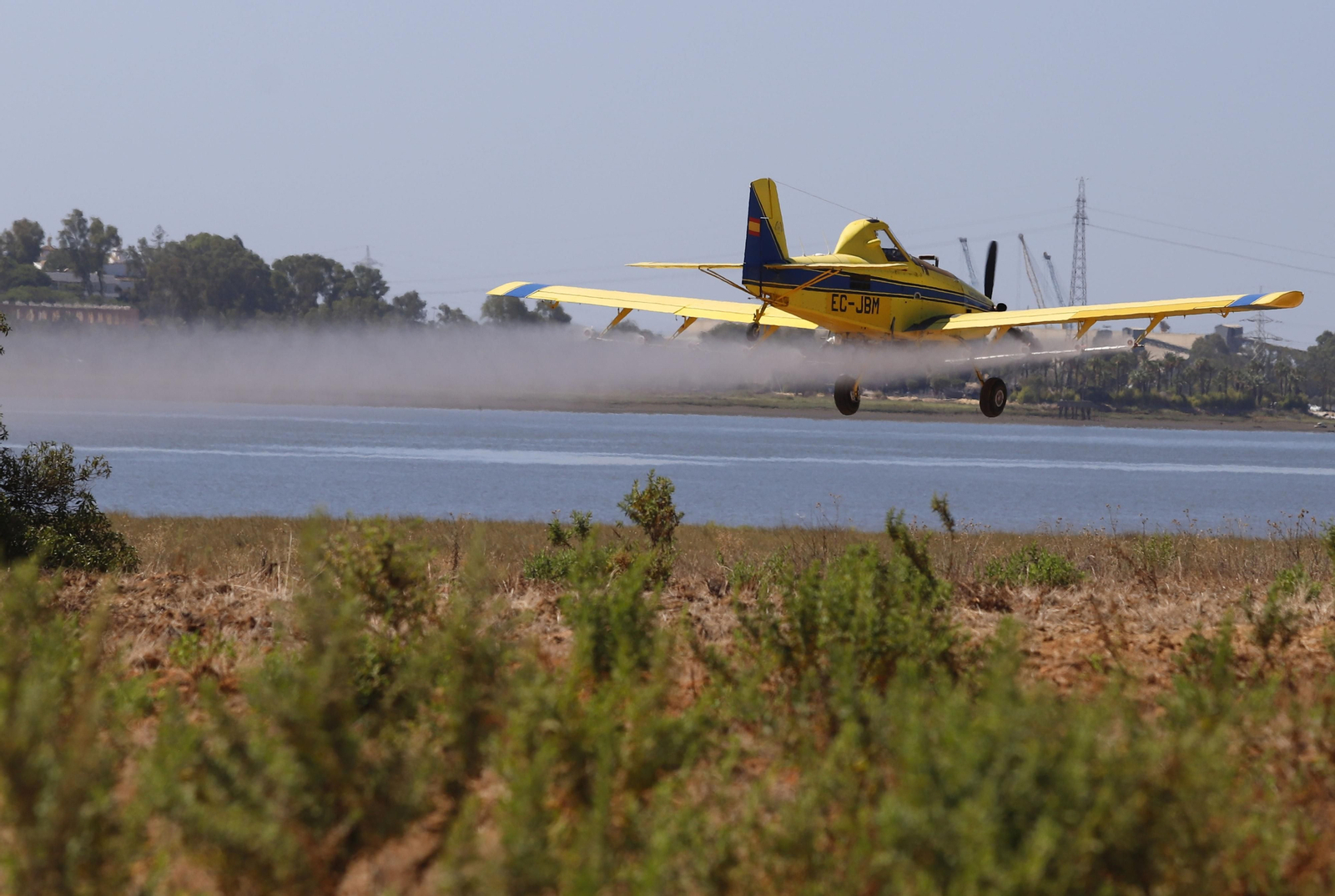 Imágenes del vuelo demostrativo de los medios aéreos del servicio de control de mosquitos