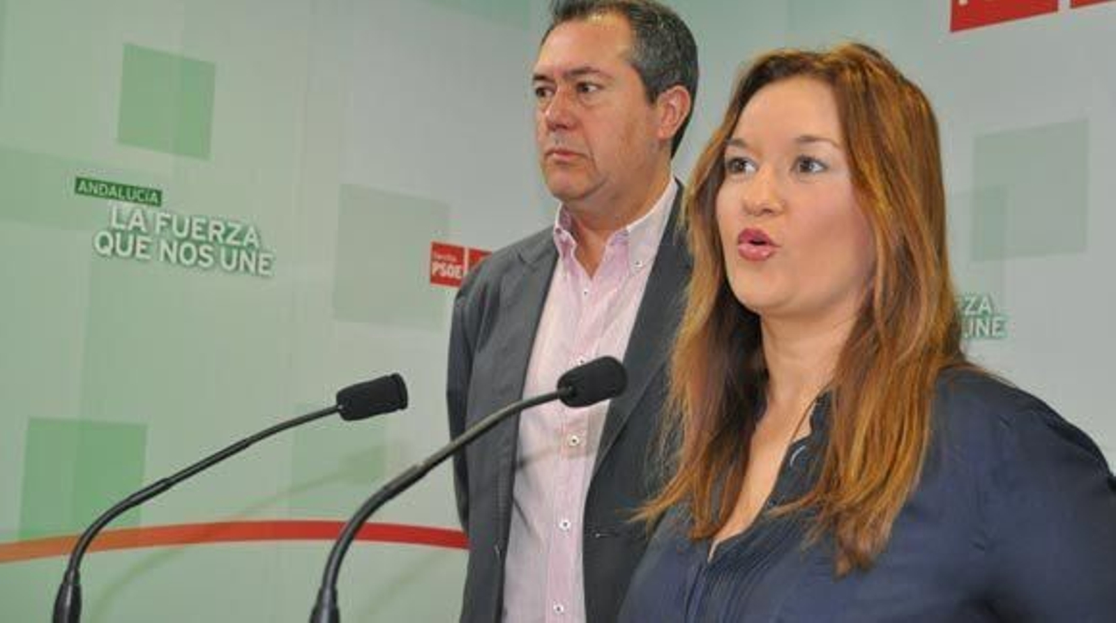 El PSOE de Sevilla va a presentar 12 enmiendas parciales a los PGE
