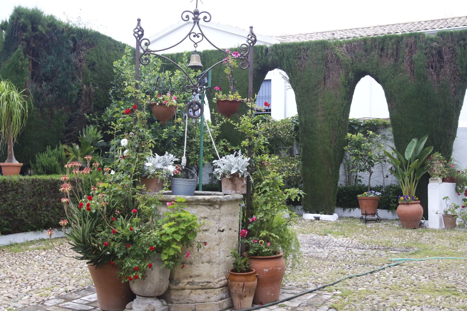 Los Patios  de Córdoba en tiempos de crisis: Siete Revueltas, 1