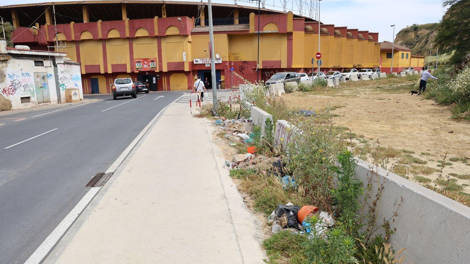 Calle Médico Luis Buendía