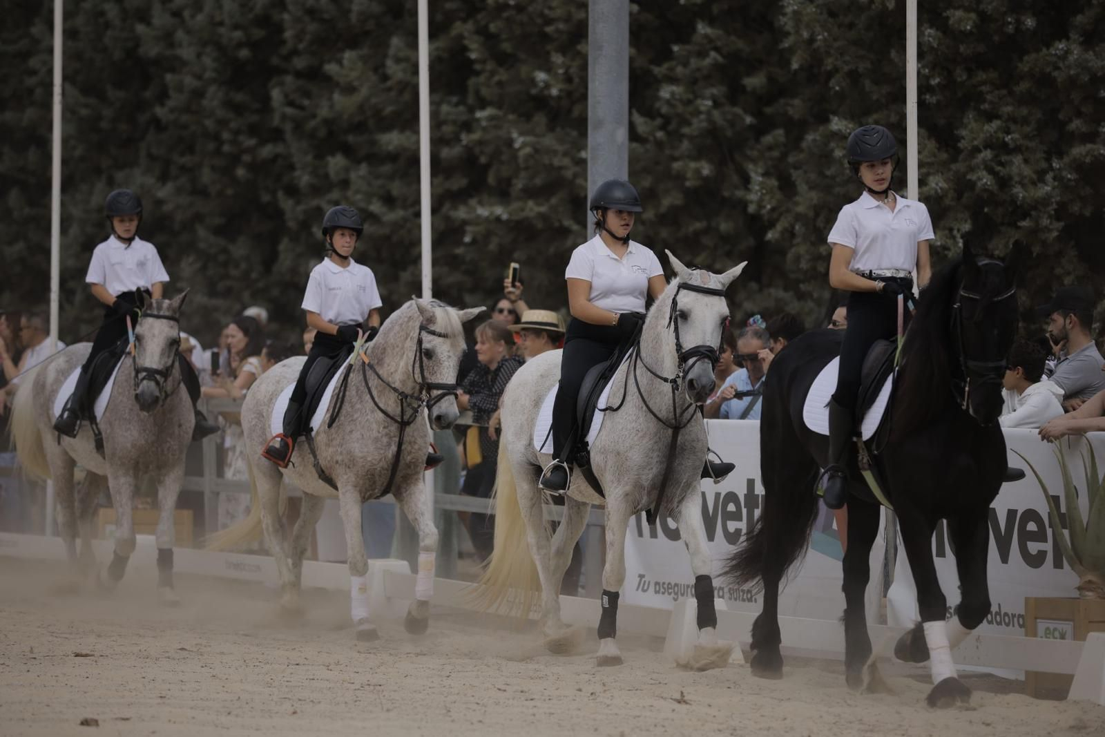 Feria del Caballo 2023: Así han sido las exhibiciones de las escuelas hípicas de Huelva