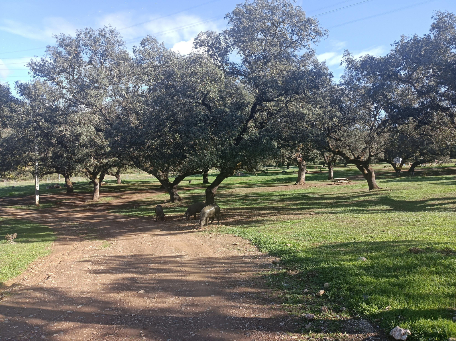 Fotos de la ruta de los molinos de Almadén de la Plata