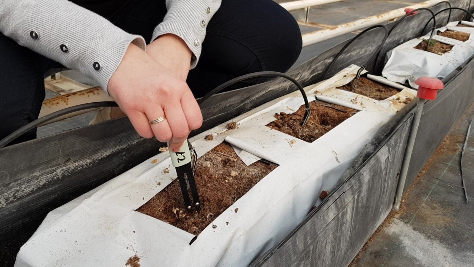 Sensor de detección.