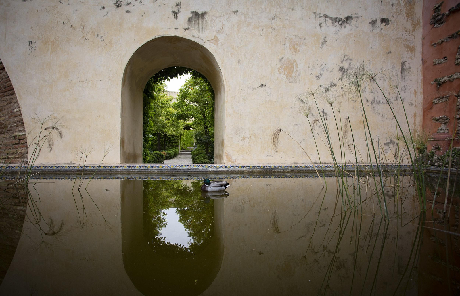 Coronavirus: Un paseo por los Reales Alcázares de Sevilla
