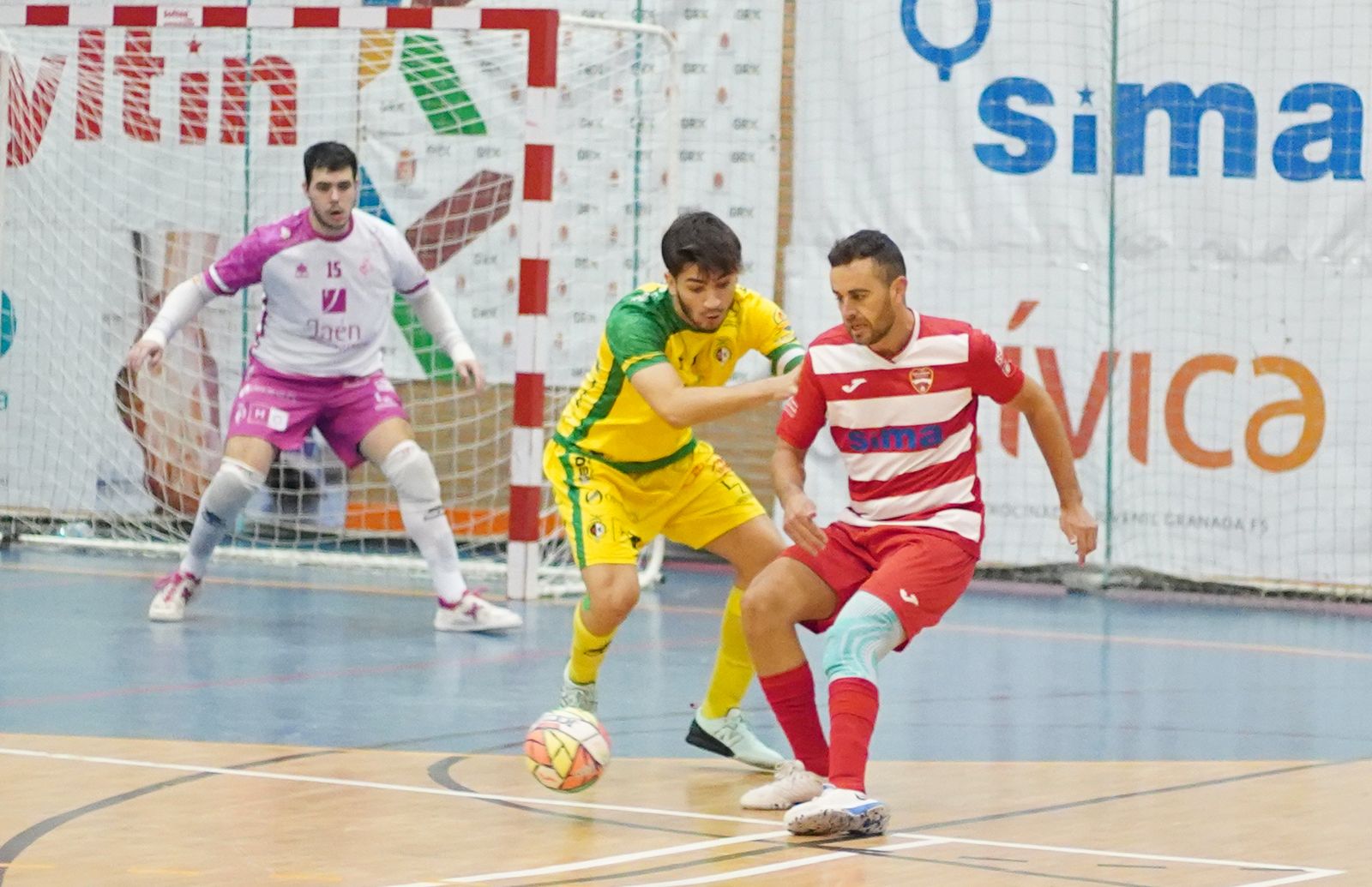 El Sima Granada venció en la pasada jornada al filial del Jaén.