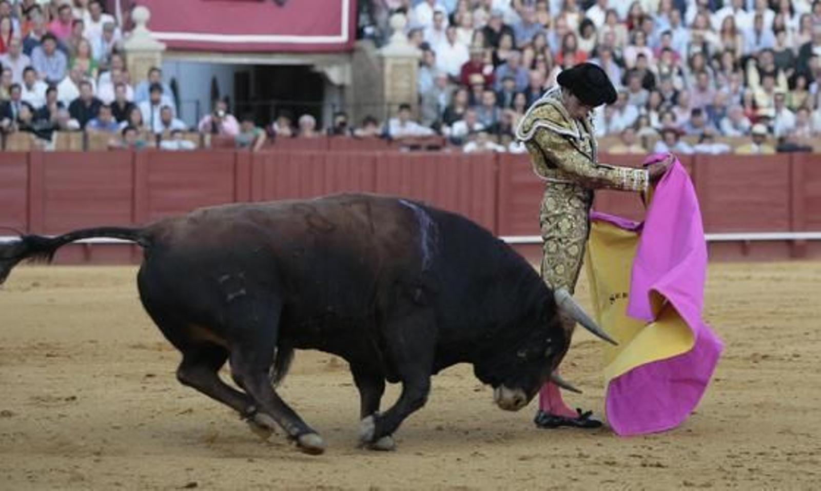 Castella./ Juan Carlos Muñoz