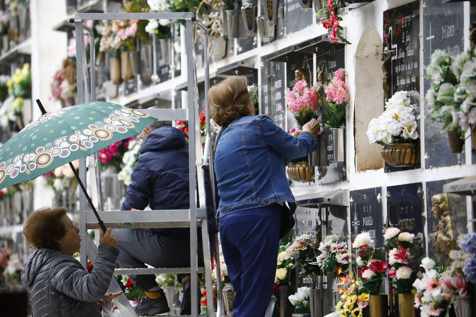 Las imágenes de los preparativos de los cementerios de Córdoba por el día de Todos los Santos