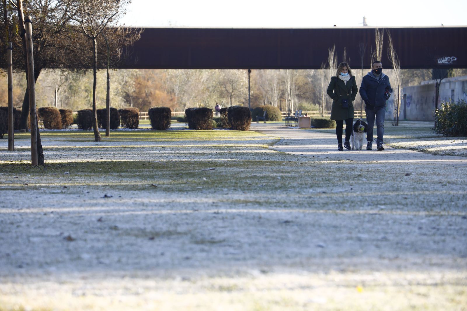 La ola de frío en Córdoba, en fotografías