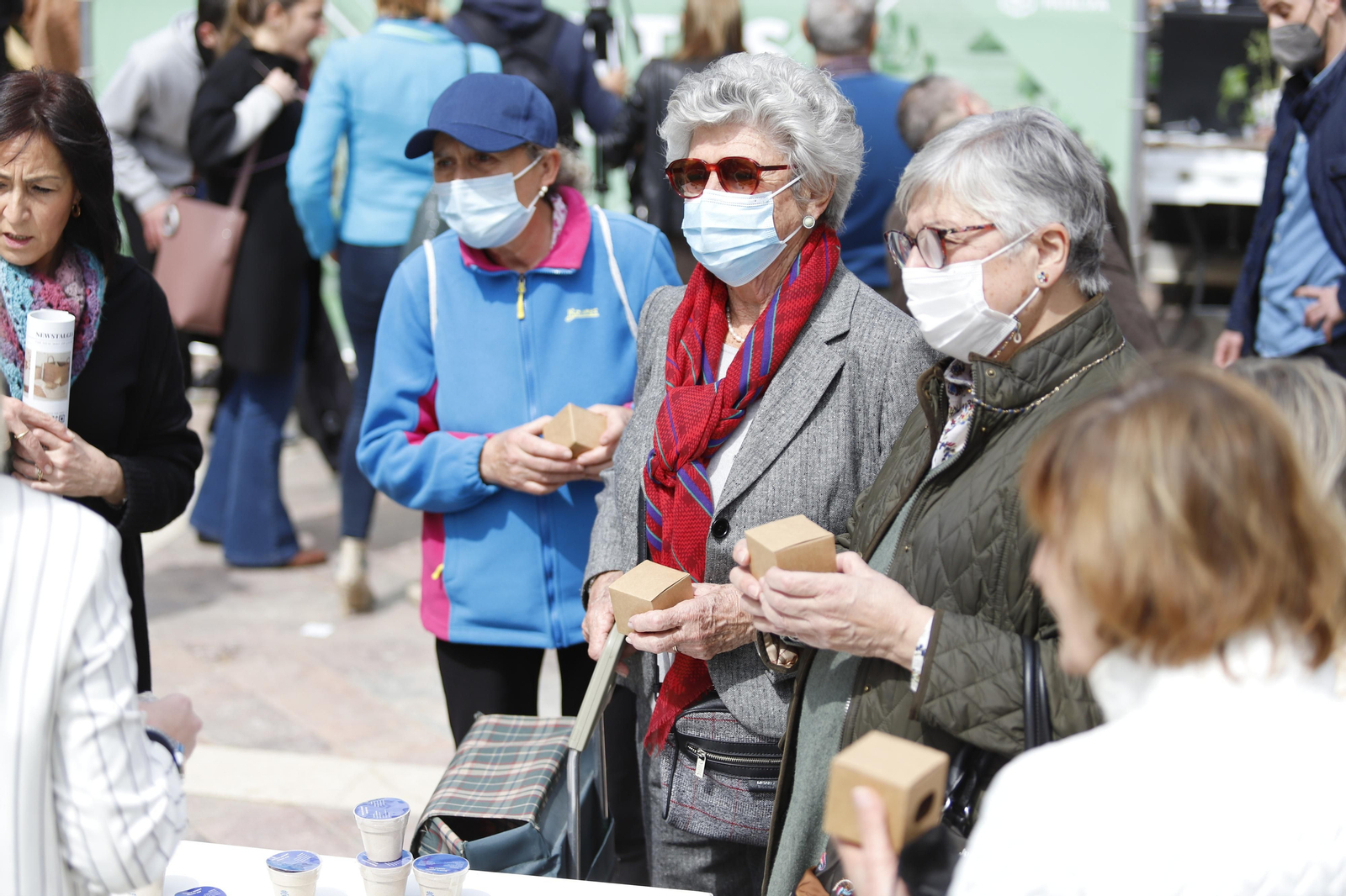 Imágenes del 'V Mercado de Flores y Plantas de Huelva' en la Plaza de Las Monjas