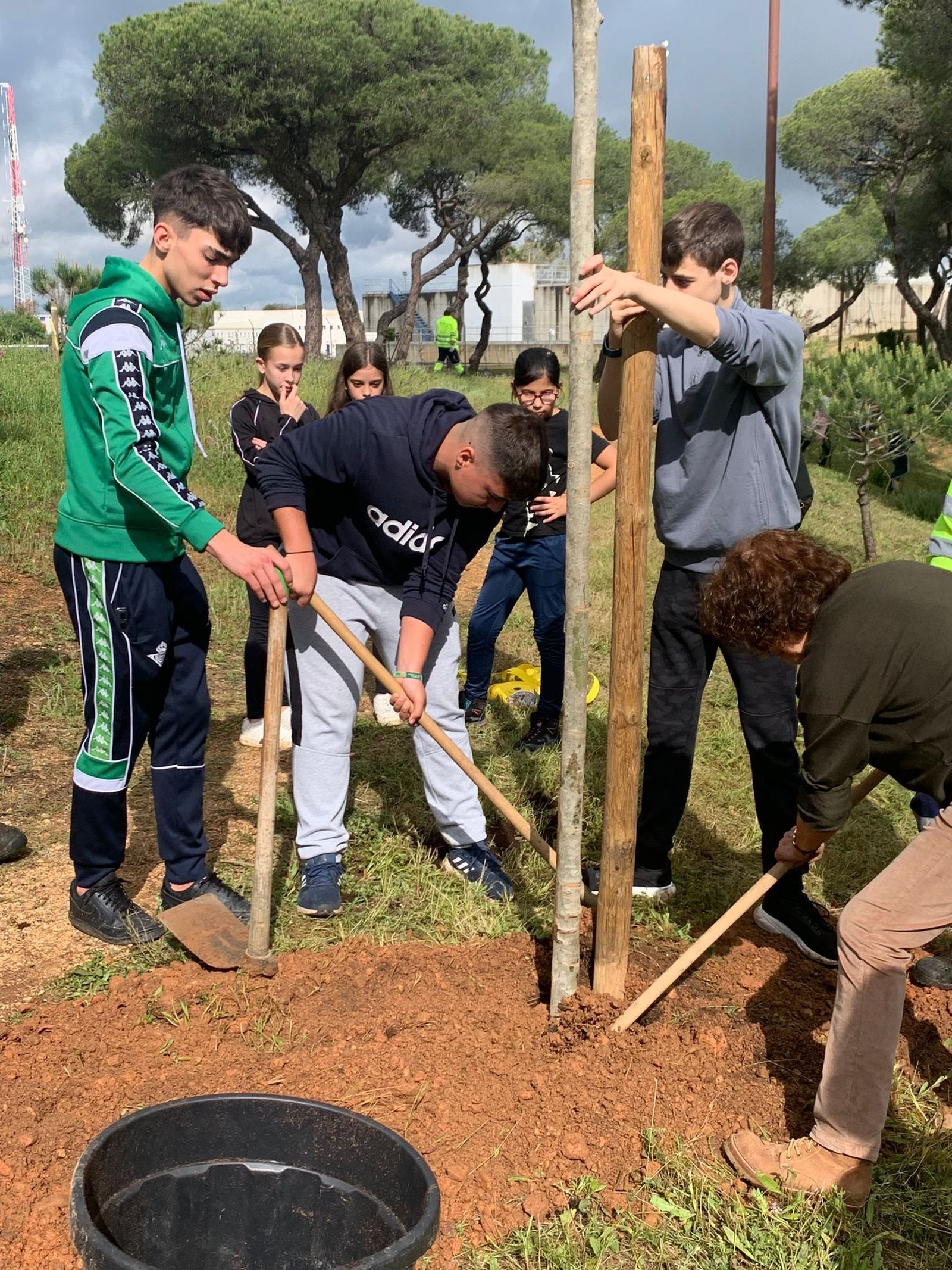 Cien jóvenes onubenses ayudan a reforestar el Parque Moret.