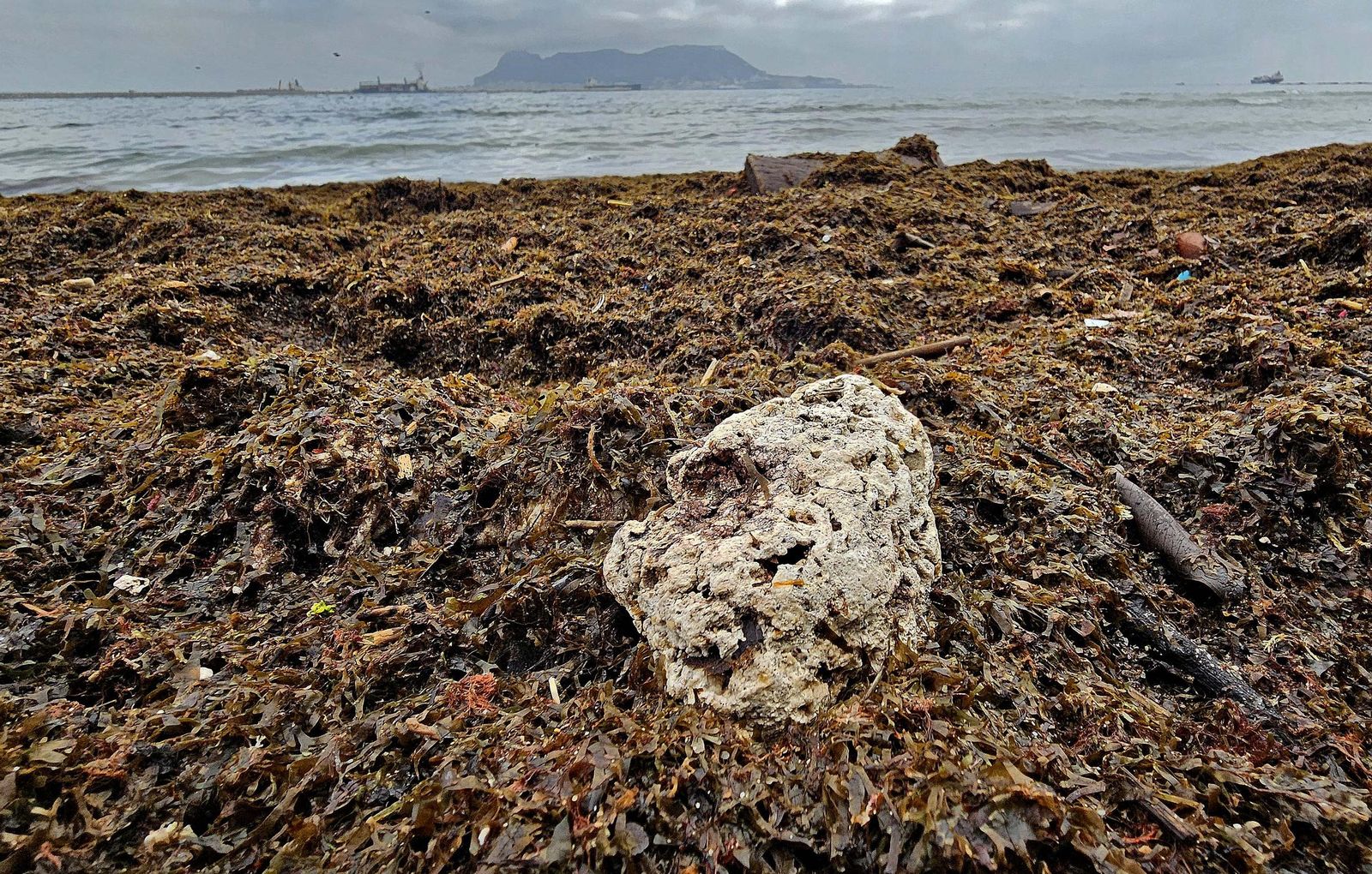 Fotos de la limpieza de las bolas blancas en la playa de Getares en Algeciras