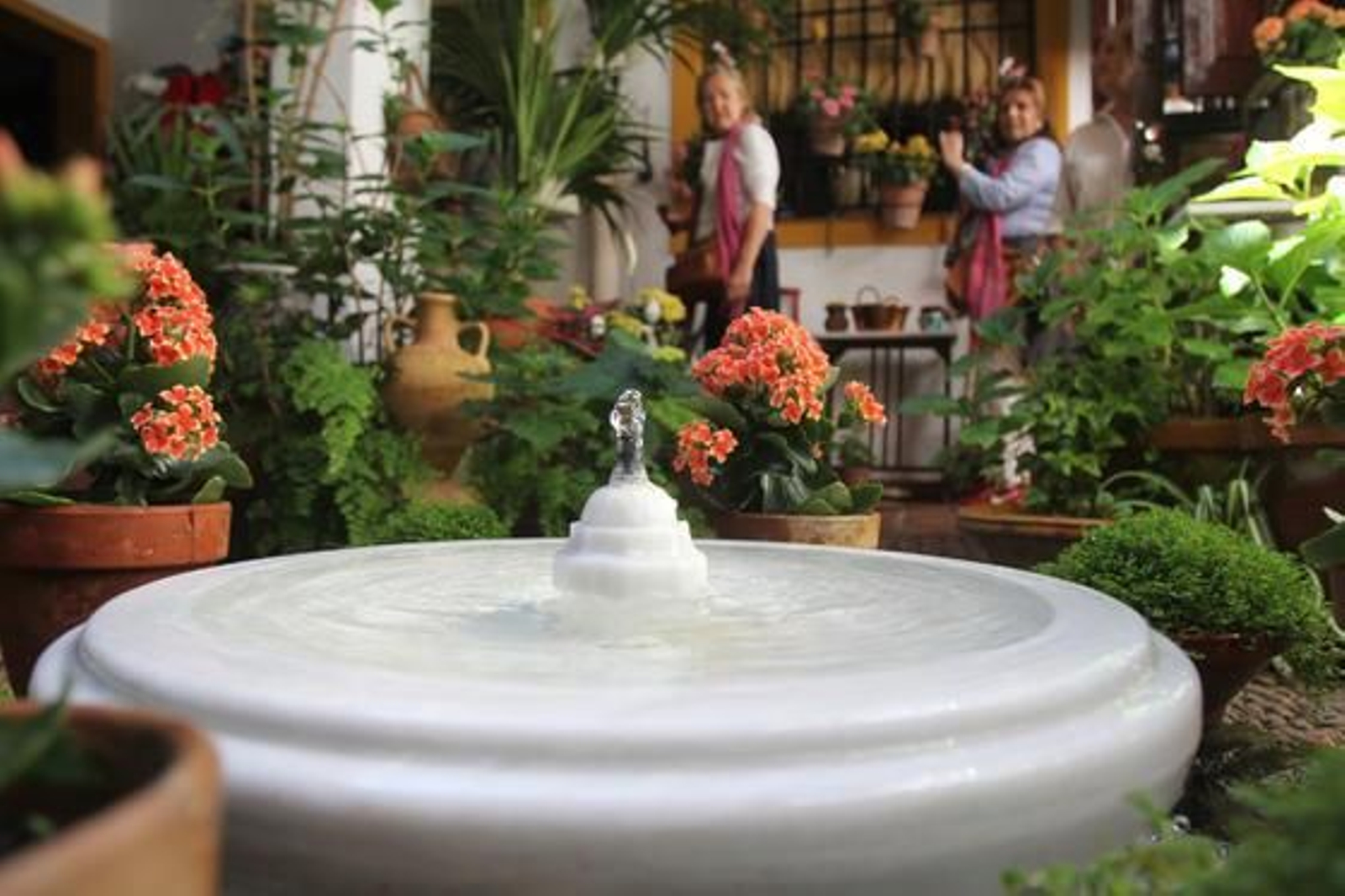 Tafures 2.

Foto: Jose Martinez