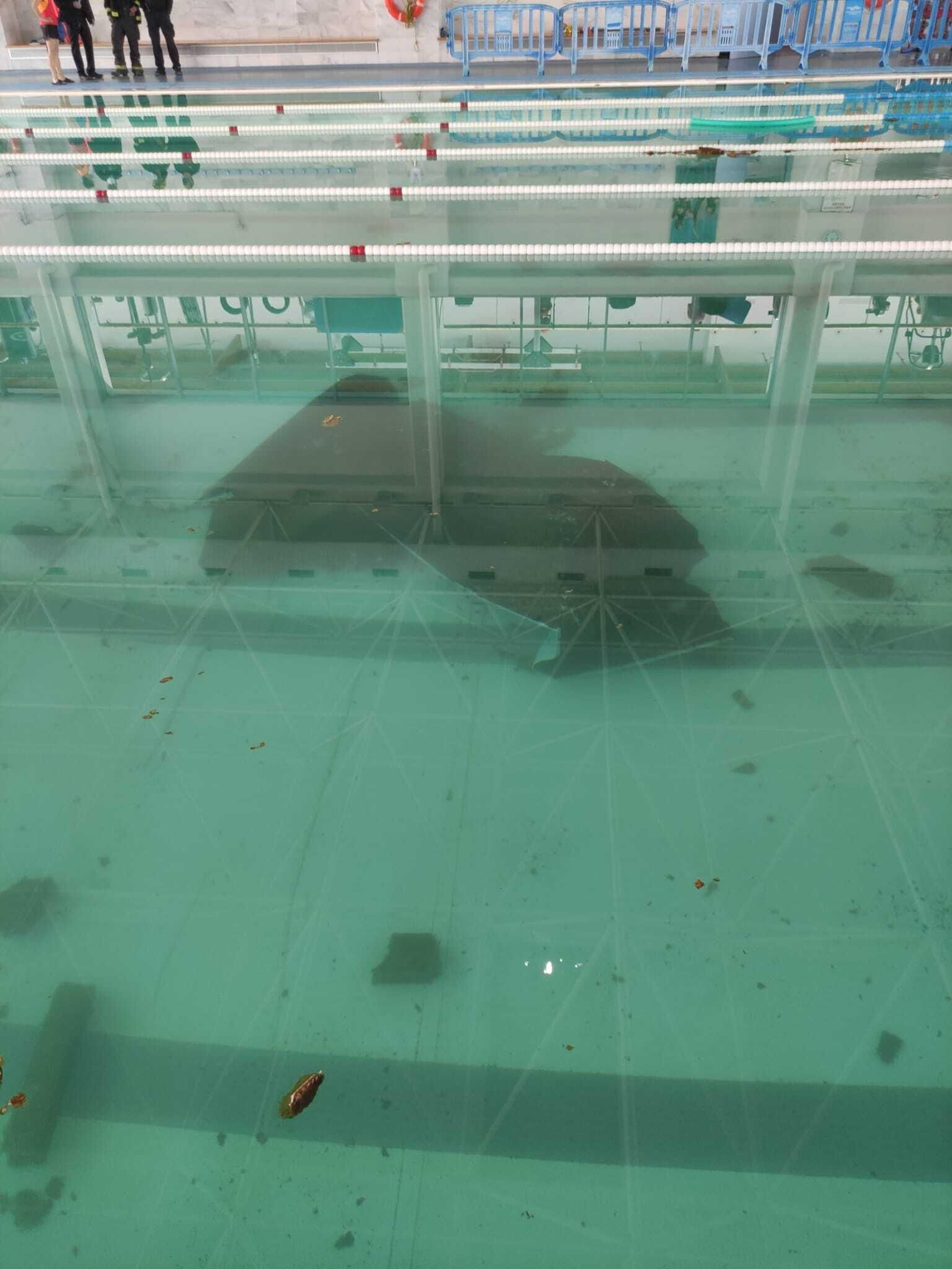 La chapa, en el fondo de la piscina