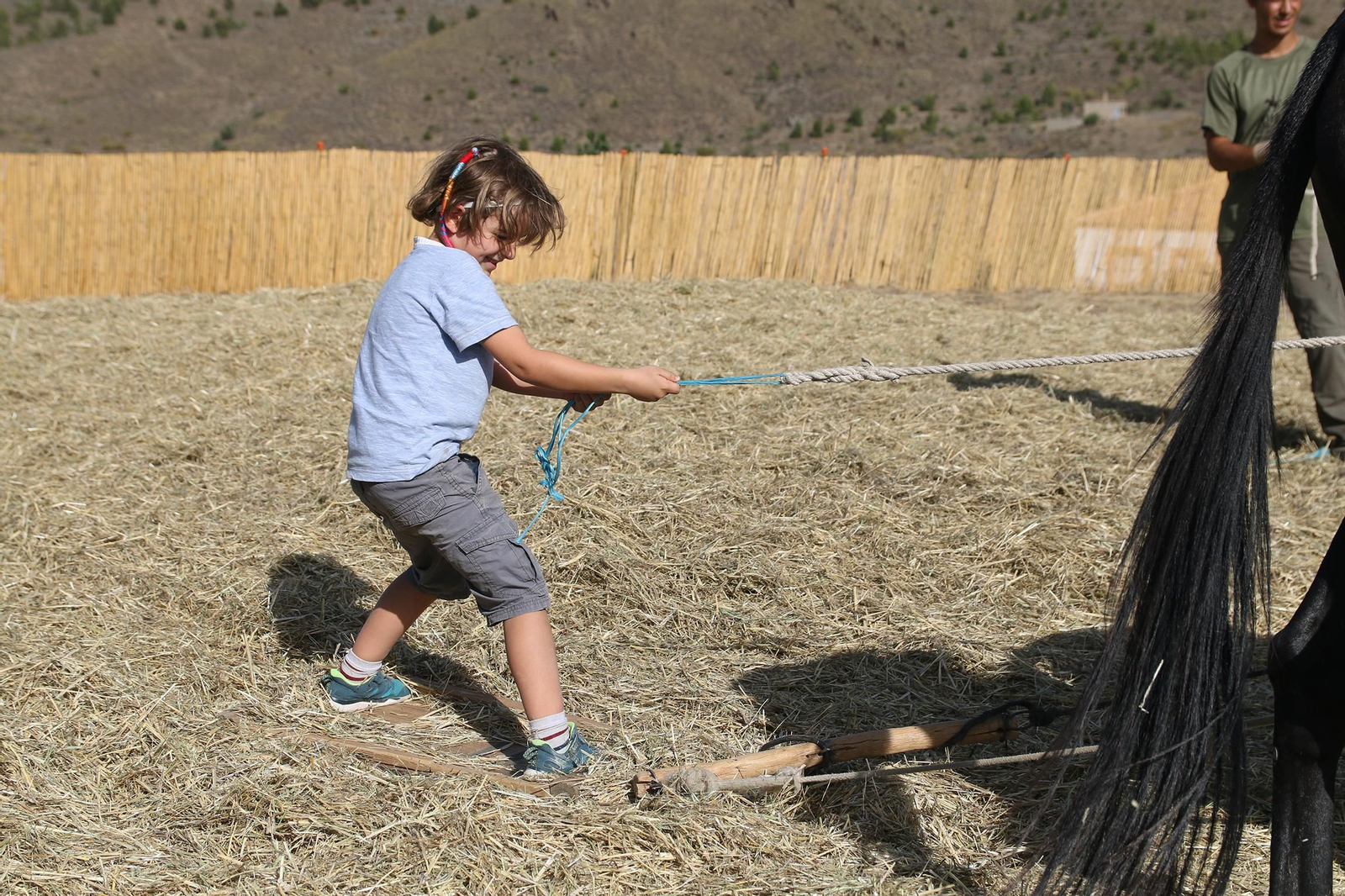 La fiesta de la trilla de Abla