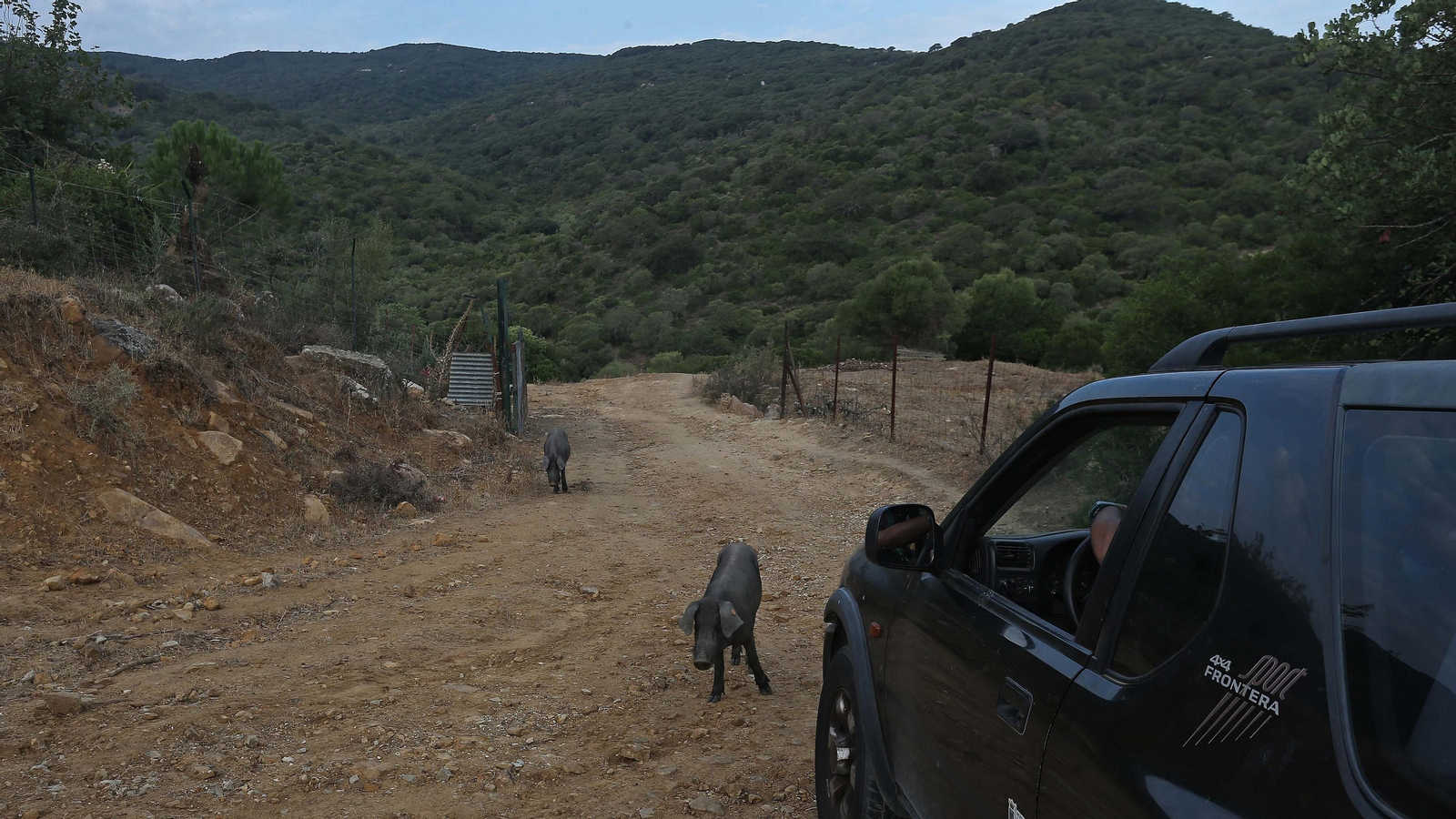 Las mejores fotos de la cueva de la Laja Alta