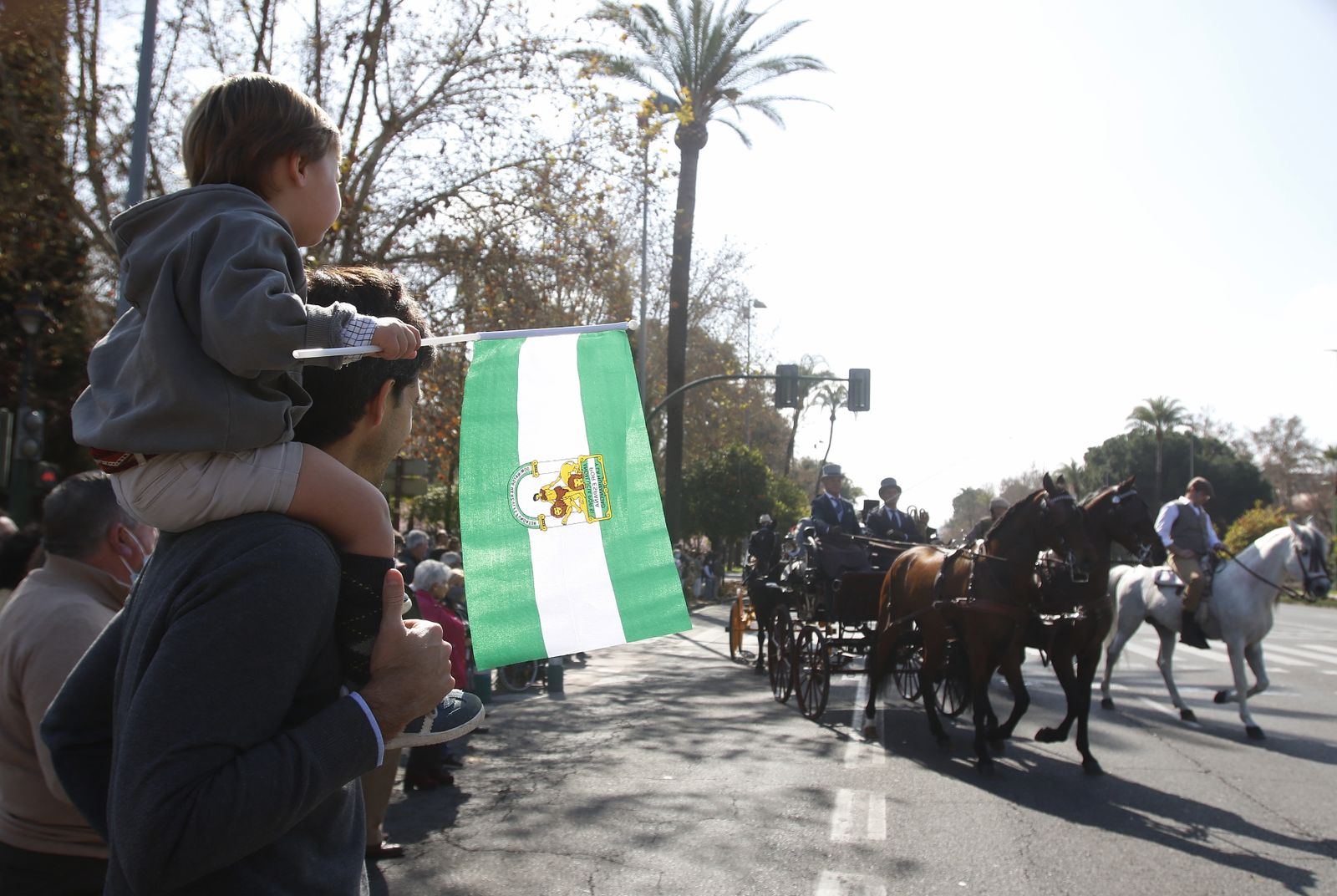 La marcha hípica en Córdoba por el 28-F, en fotografias.