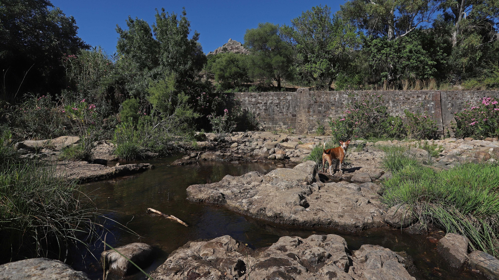 Las mejores fotos del sendero del Río Hozgarganta