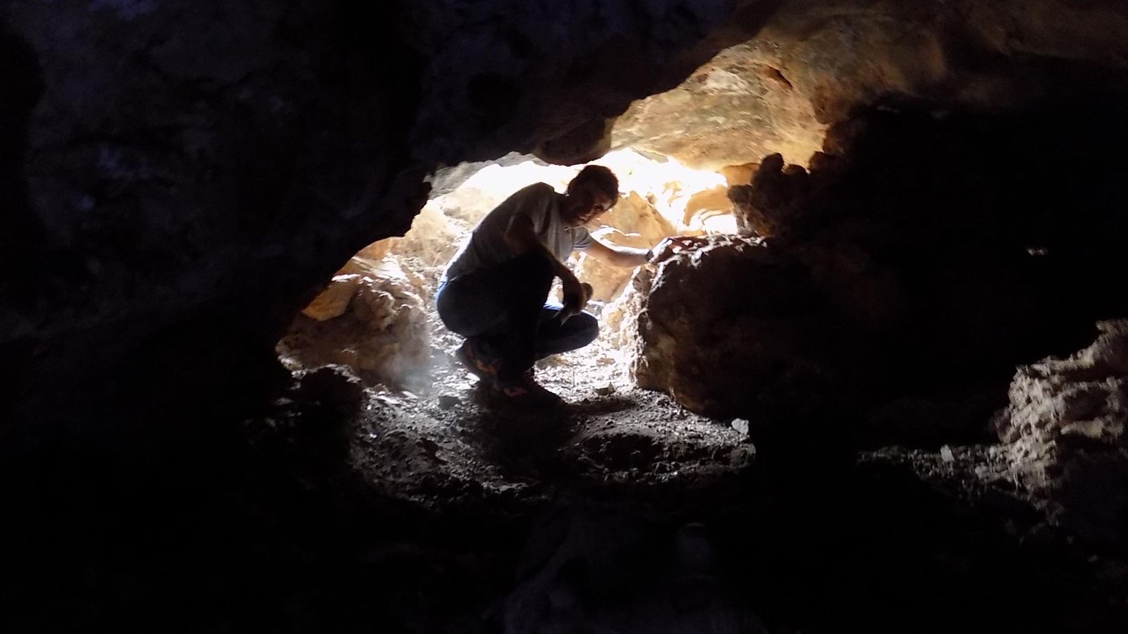 Difícil entrada a la osera.