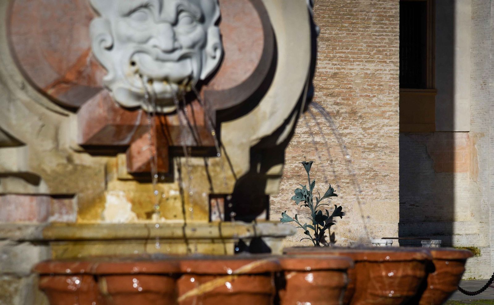 La retirada de las jarras de las azucenas de la Giralda, en imágenes