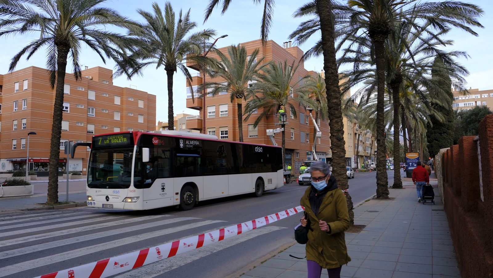 Fotogalería de la poda e inspección de las palmeras de la Avenida Cabo de Gata. Almería.