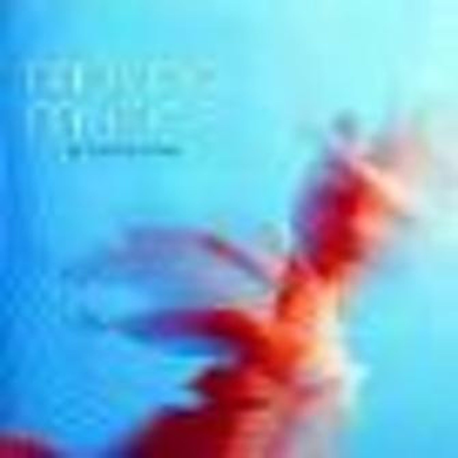 Amar y el 'melting pot' musical