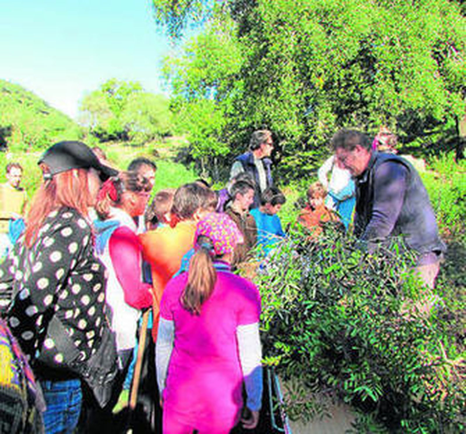 Un grupo de niños observa las plantas.