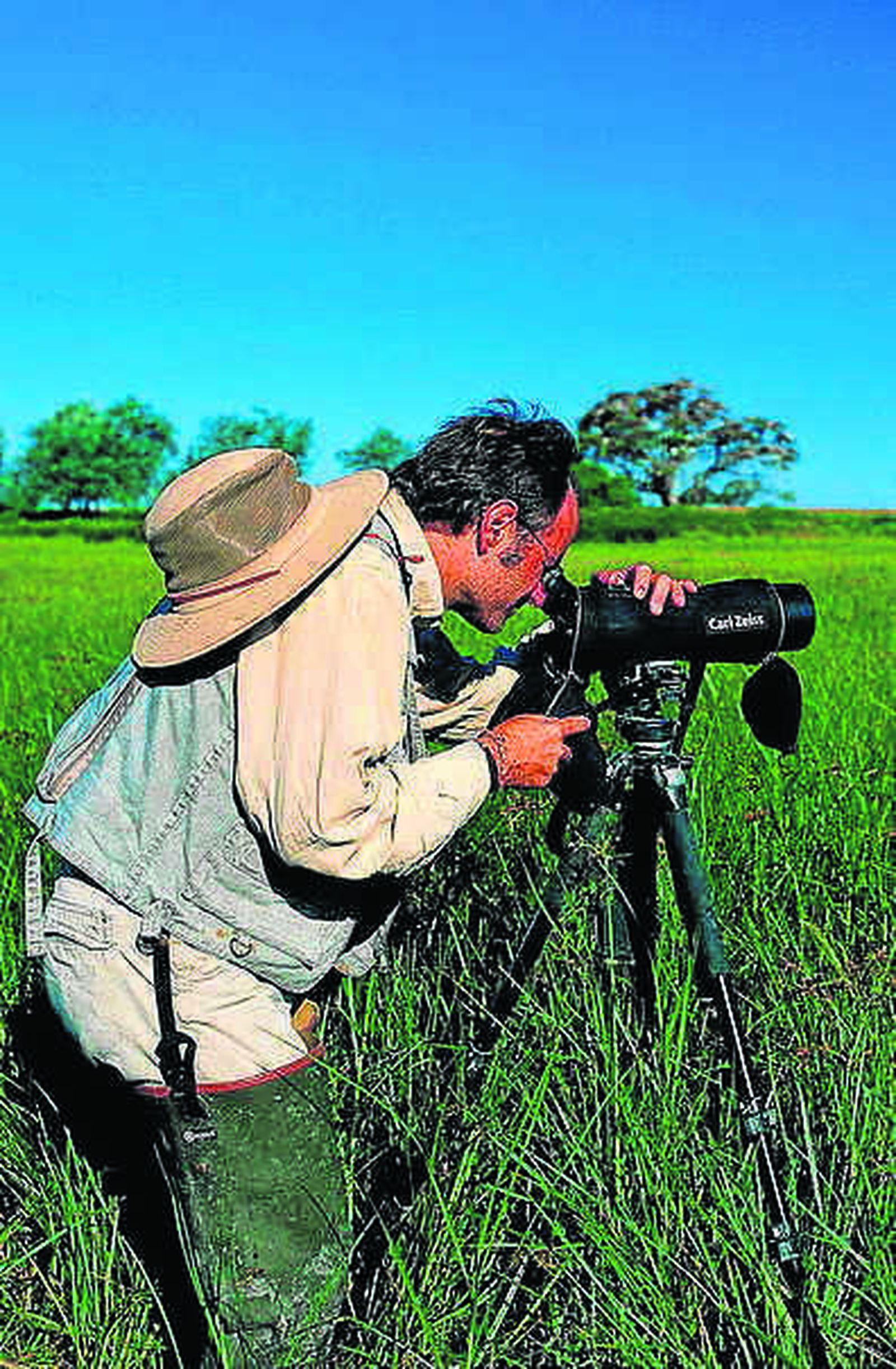 Avistamiento de aves.
