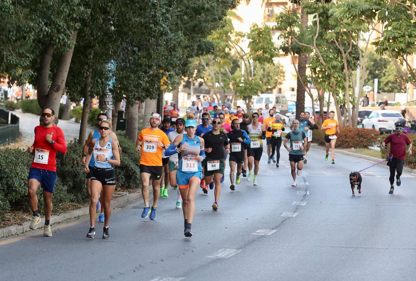 San Silvestre Palma-Palmilla 2023: Búscate en las fotos de la carrera