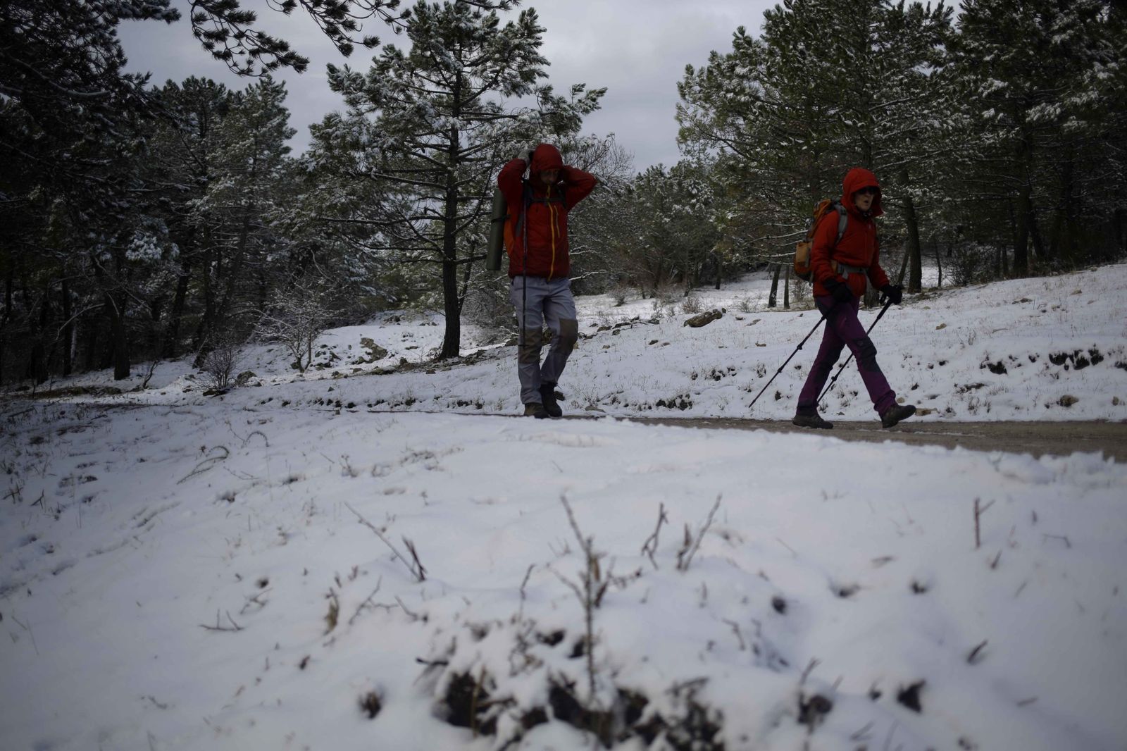 La excursiones a los parajes nevados de Málaga, en imágenes