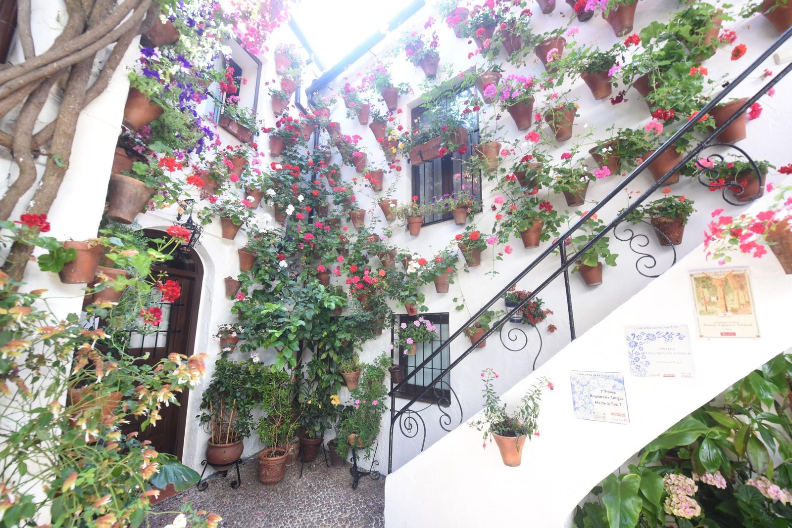 El último sábado de Patios de Córdoba en Alcázar Viejo, en imágenes