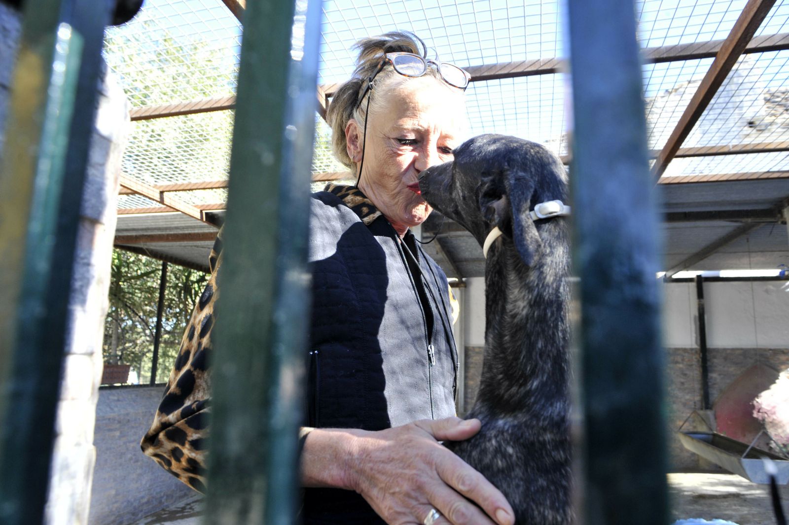 Centro de Animales Abandonados y Perdidos de Villamartín.