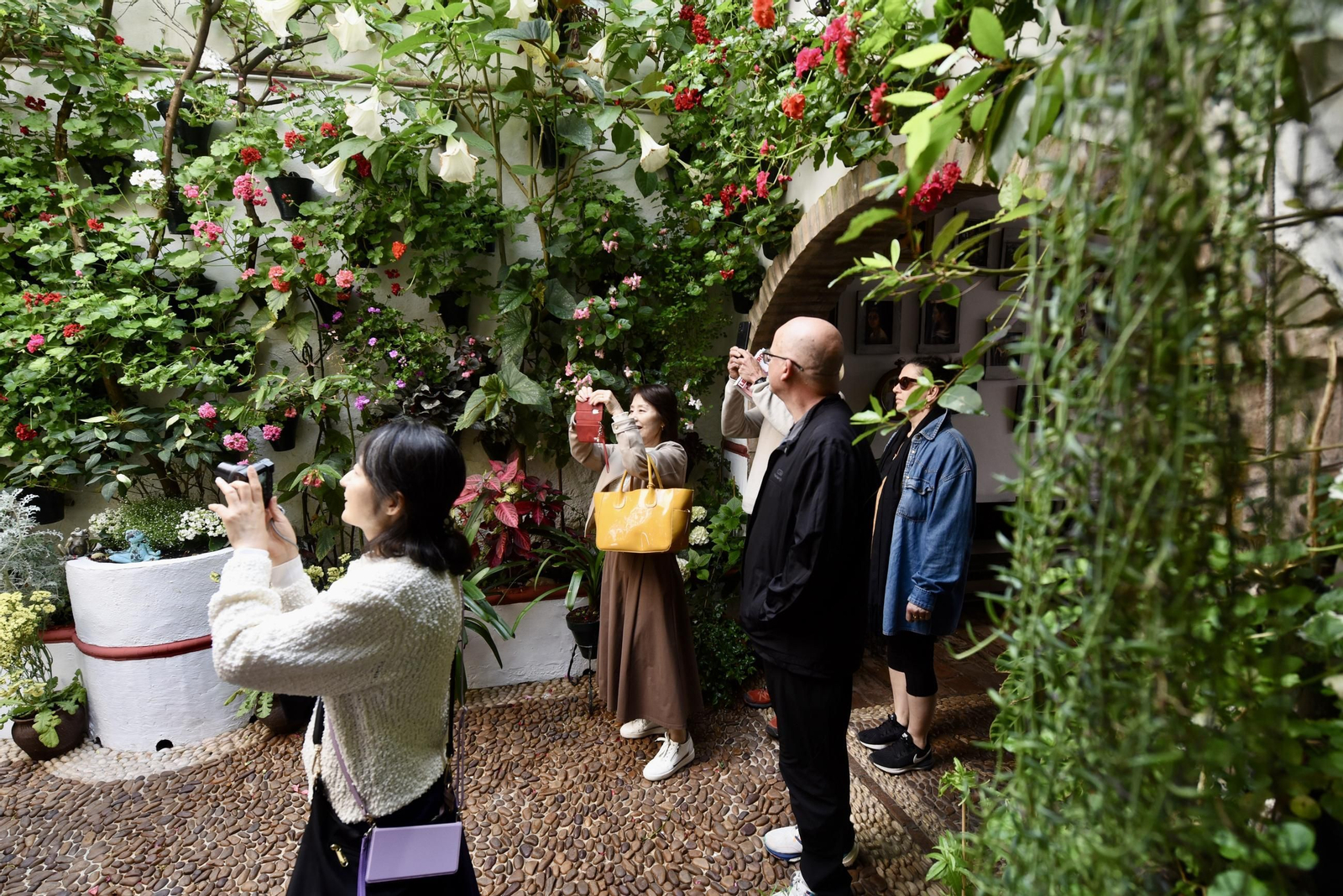 Los Patios de Córdoba de la Ruta del Alcázar Viejo, en imágenes