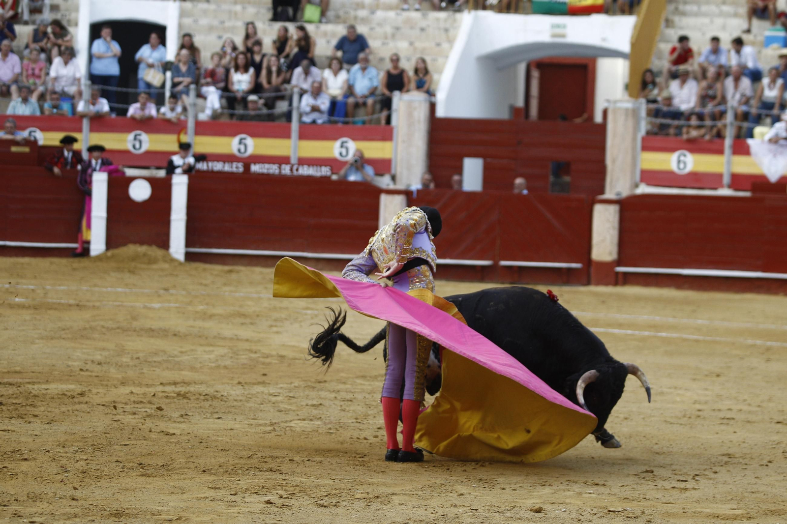 Imágenes de la novillada de la Feria de Almería 2025