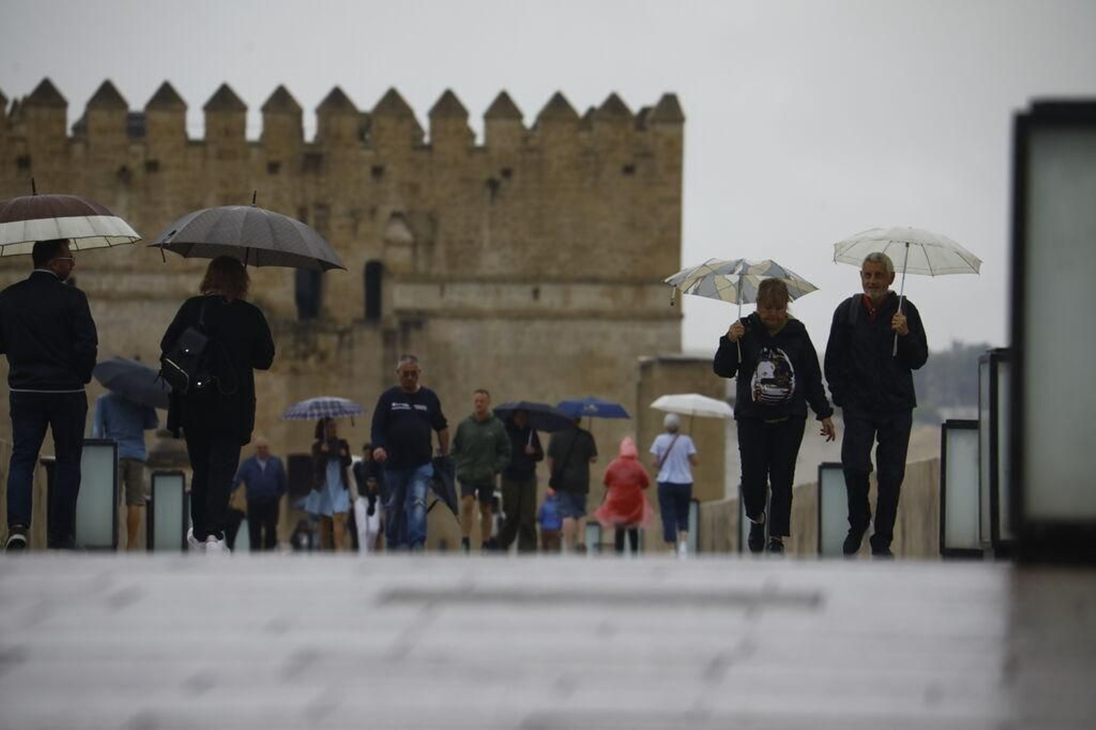 Viandantes por el Puente Romano de Córdoba resguardados bajo paraguas. Viandantes por el Puente Romano de Córdoba resguardados bajo paraguas.