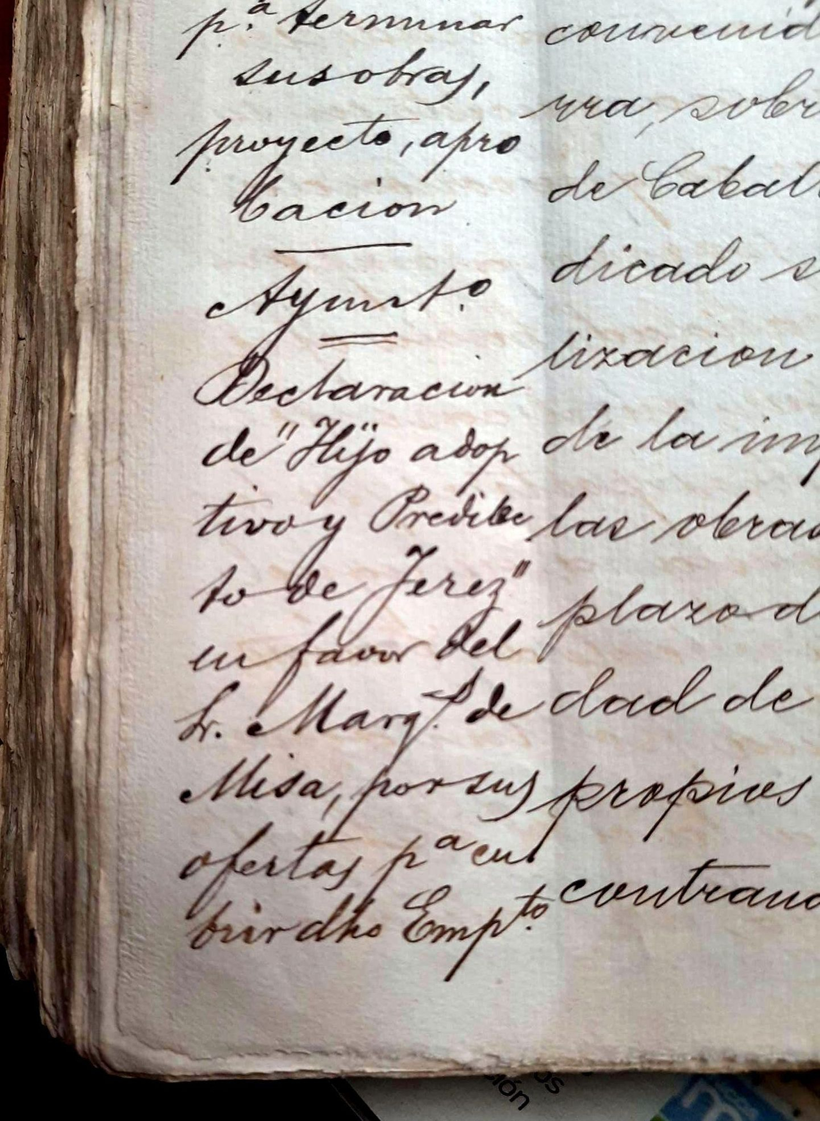 Acta Capitular de 25 de mayo de 1892 donde le nombran Hijo Adoptivo y Predilecto.