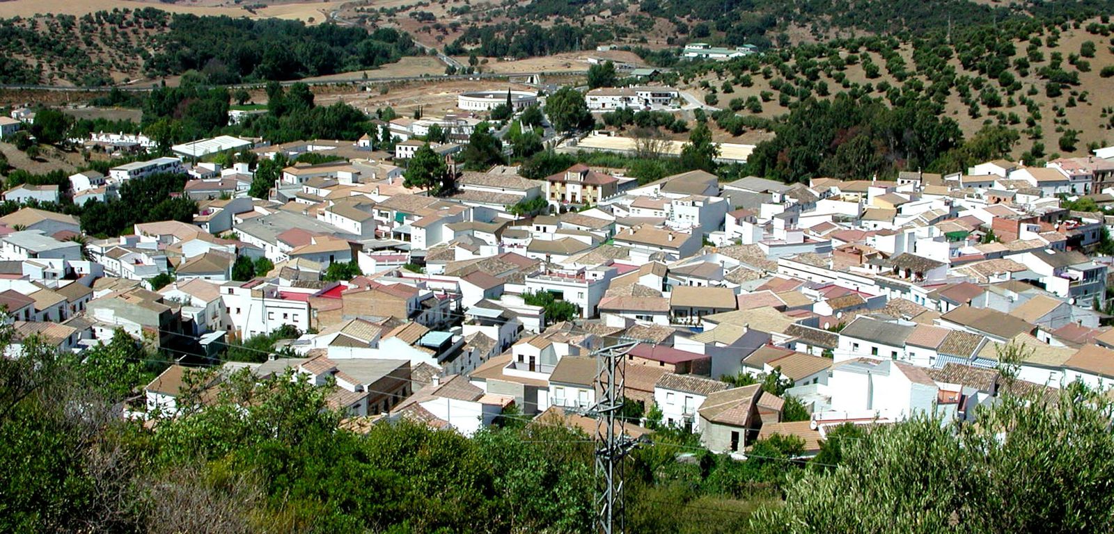 Una imagen panorámica de El Bosque