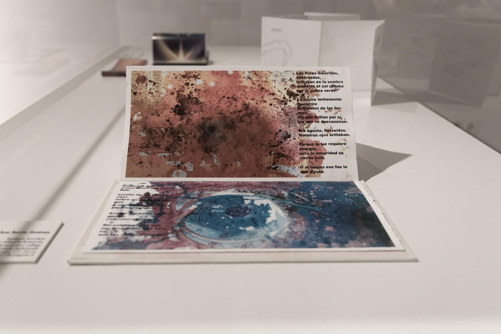 El libro de artista es protagonista de esta exposición de la Universidad de Jaén El libro de artista es protagonista de esta exposición de la Universidad de Jaén