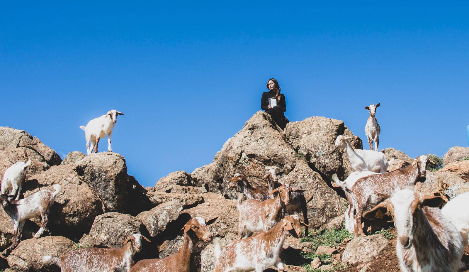 María Sánchez Rodríguez posa rodeada de cabras en el campo.