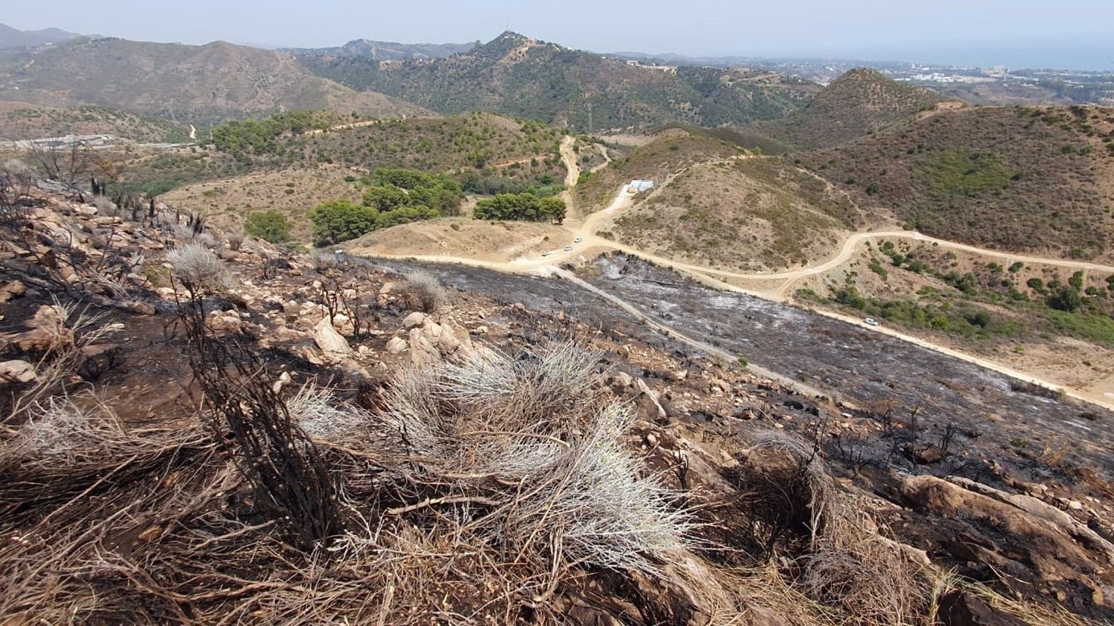 Zona afectada por el incendio forestal en Ojén.