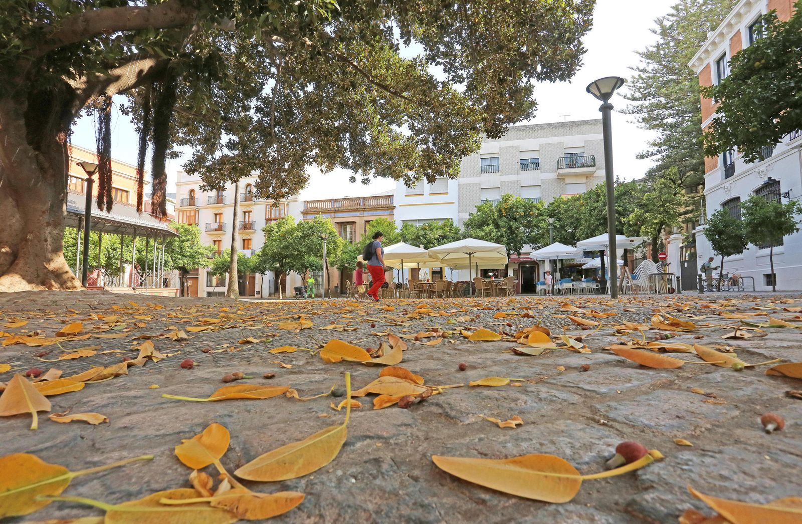 Concierto de la Banda Municipal