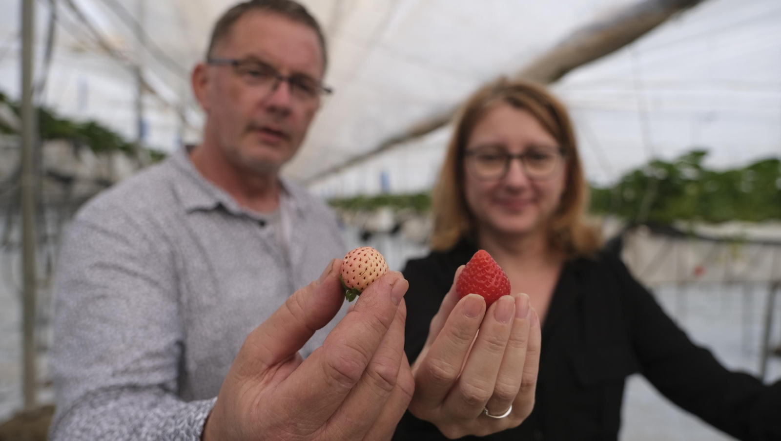 Kees Jansen y Victoria Rodríguez de Indalfresh
