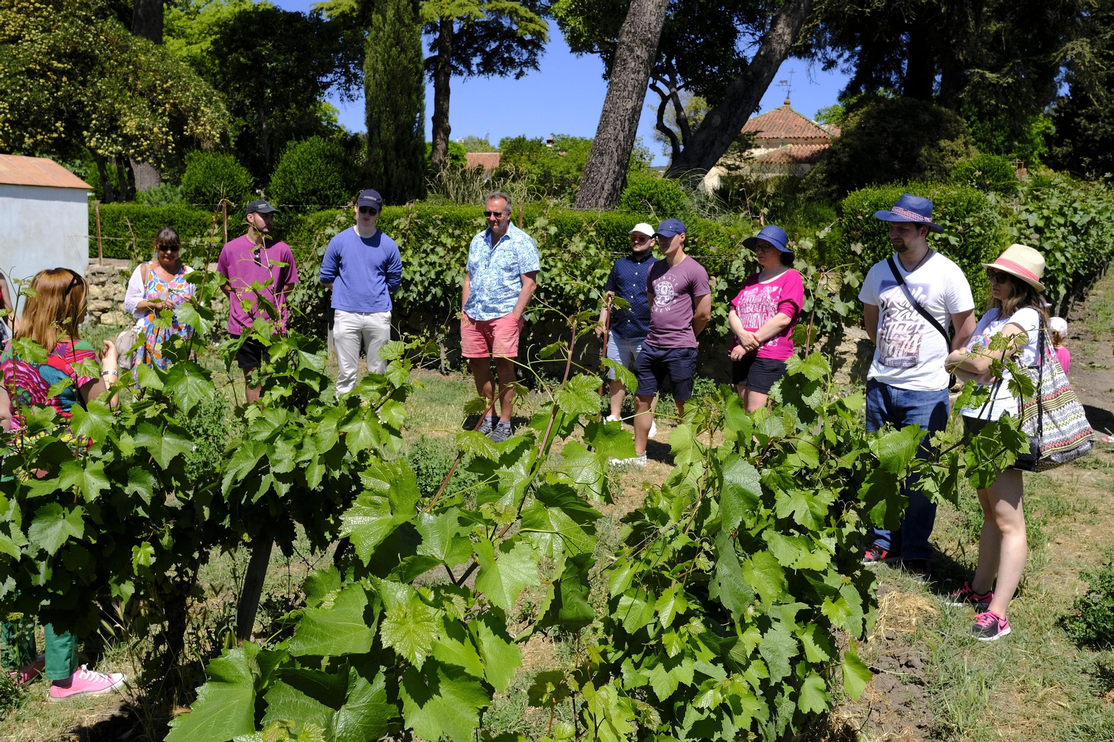 El regreso del turismo extranjero a las bodegas rondeñas, en fotos