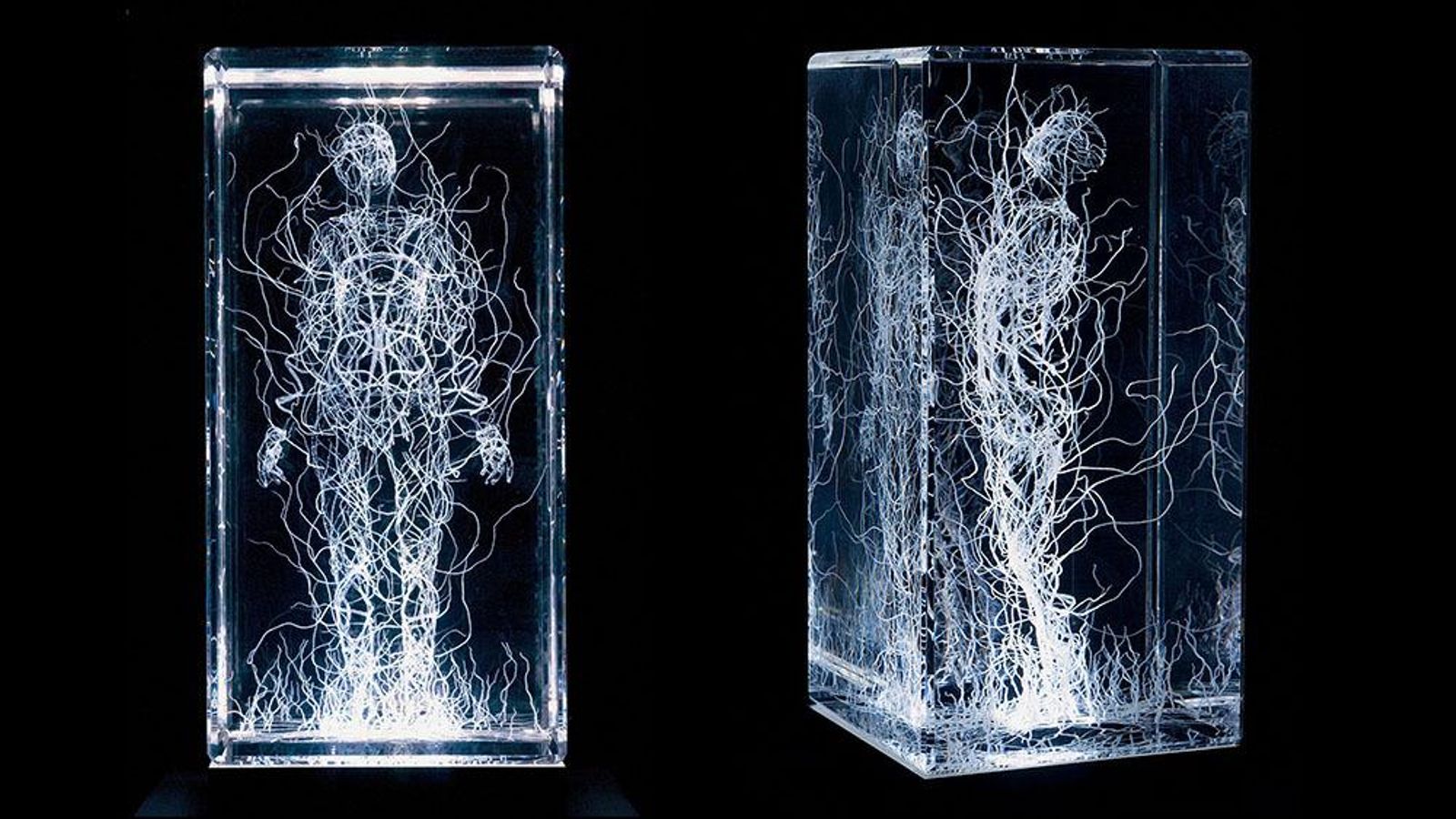 Una de las imágenes que pueden verse en la exposición 'Fenómenos'.