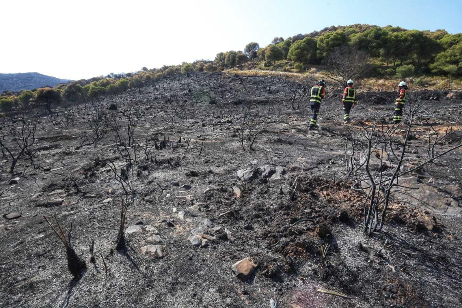 Las fotos de las zonas arrasadas por el incendio en la Sierra de Mijas