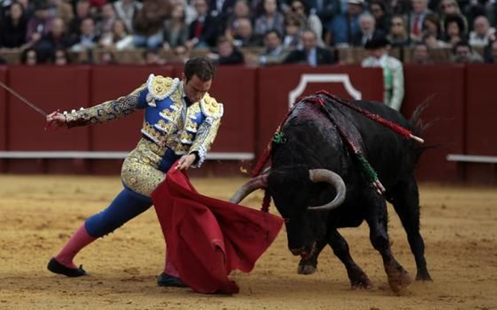 El diestro Salvador Cortés abrió la tarde en la Maestranza.

Foto: Juan Carlos Muñoz