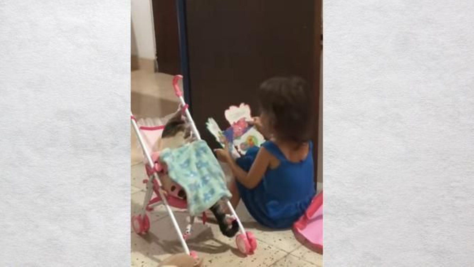Una tierna niña lee un cuento a su gato en un carrito de muñecas y se vuelve viral
