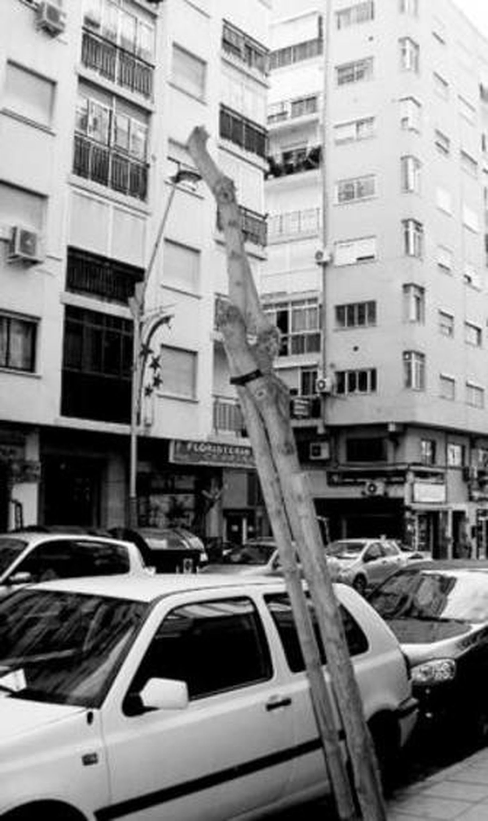 Además de la luz, los comerciantes denuncian la poda de los árboles.