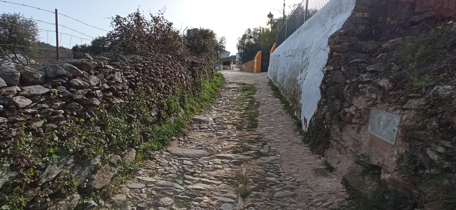 Las imágenes de la ruta de la Dehesa de Valdelama: De Los Marines a Fuenteheridos y vuelta